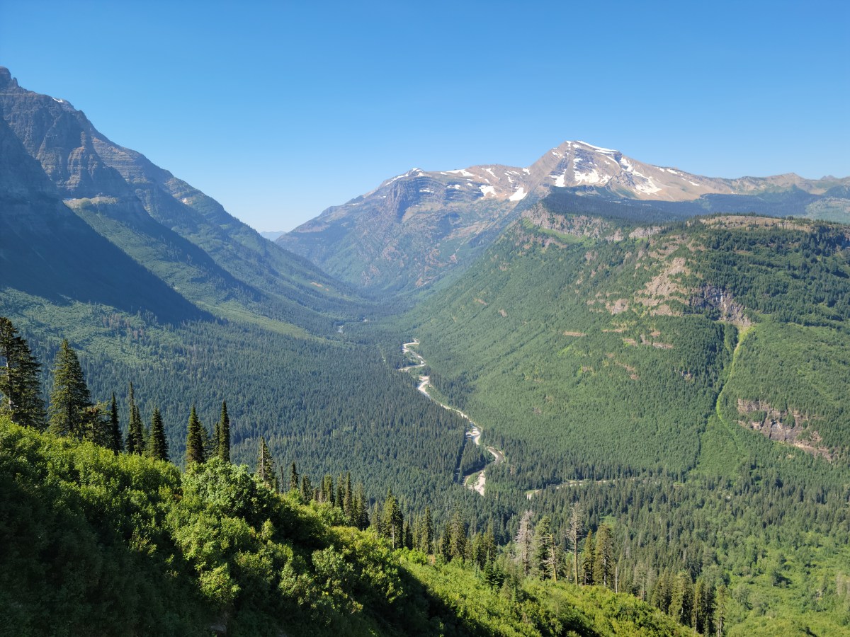 The Road from Sturgis: Roaming Cage&nbsp;Free